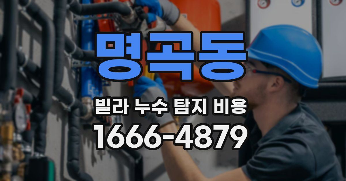 명곡동 빌라 누수 탐지 비용