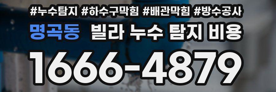 명곡동 빌라 누수 탐지 비용