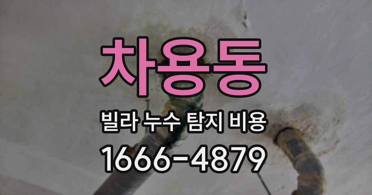 차용동 빌라 누수 탐지 비용