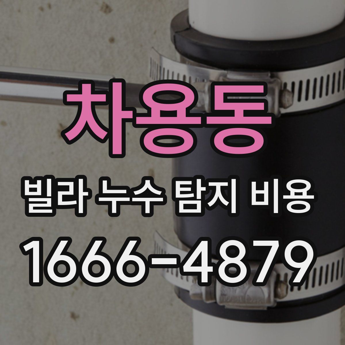 차용동 빌라 누수 탐지 비용