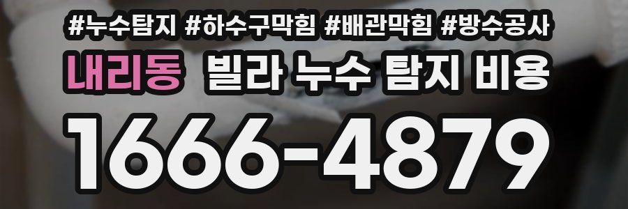 내리동 빌라 누수 탐지 비용