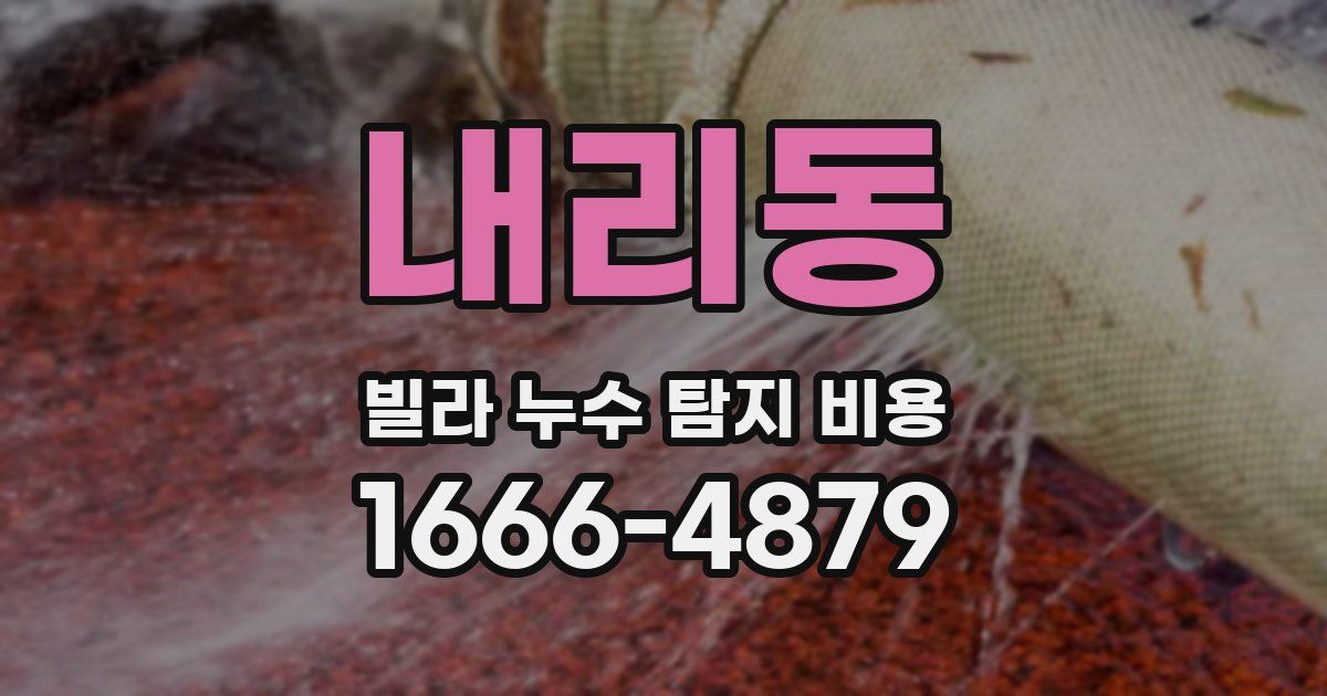 내리동 빌라 누수 탐지 비용