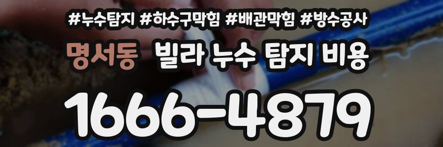 명서동 빌라 누수 탐지 비용
