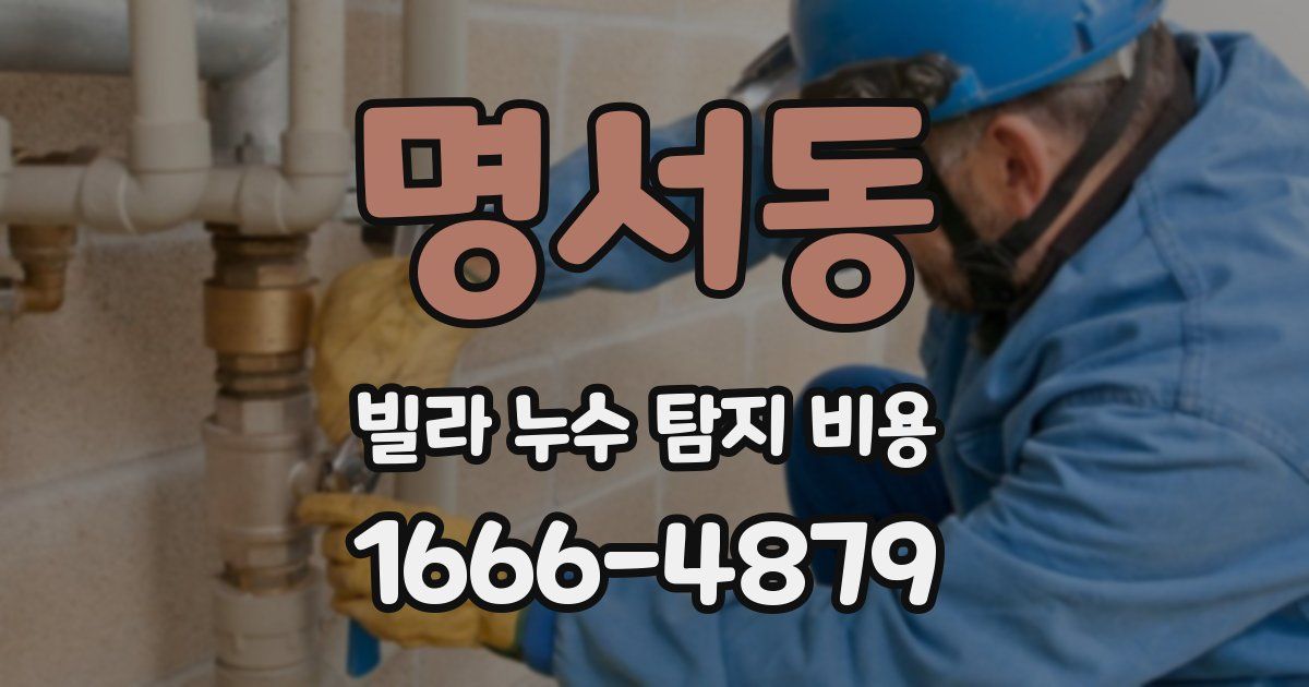 명서동 빌라 누수 탐지 비용