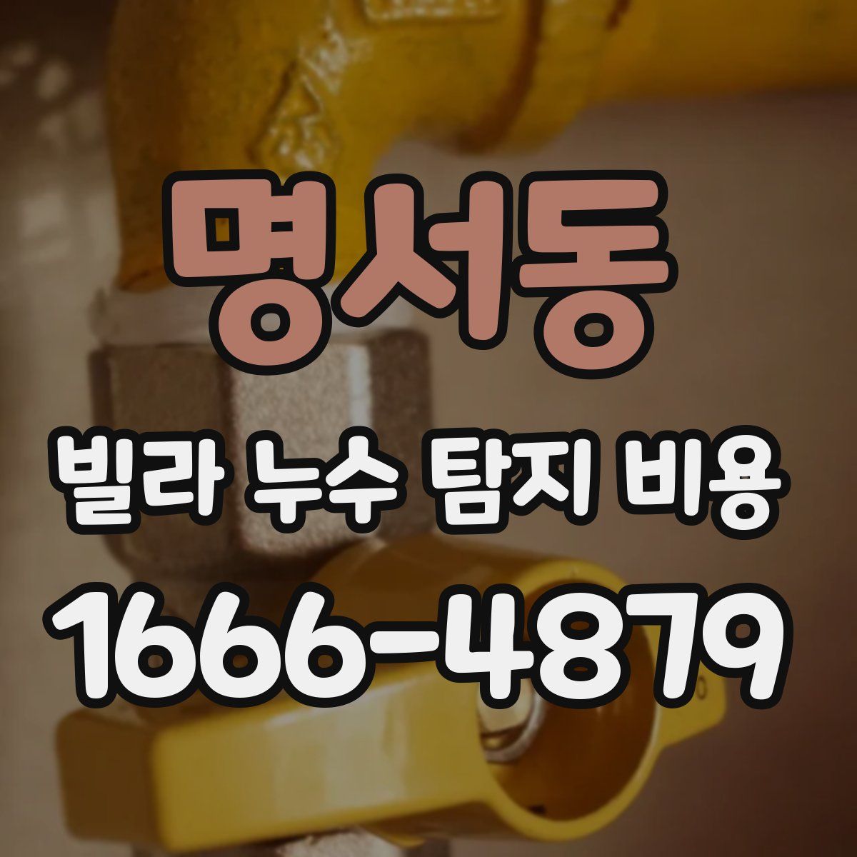 명서동 빌라 누수 탐지 비용