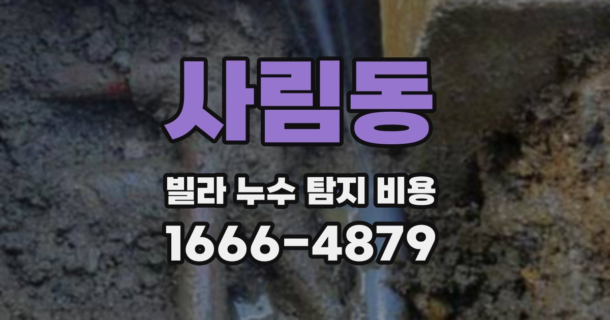 사림동 빌라 누수 탐지 비용