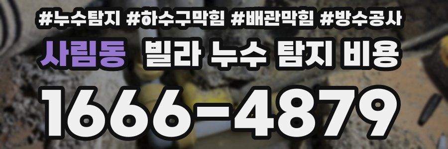 사림동 빌라 누수 탐지 비용