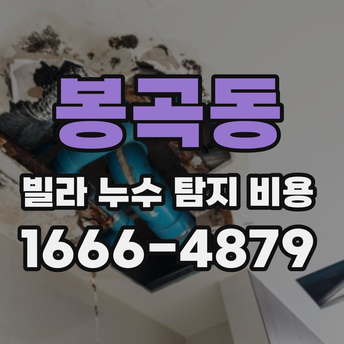 봉곡동 빌라 누수 탐지 비용
