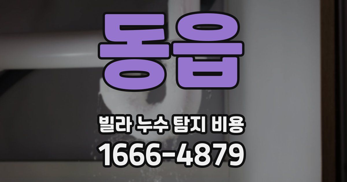 동읍 빌라 누수 탐지 비용