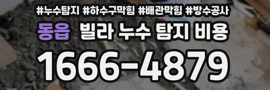 동읍 빌라 누수 탐지 비용