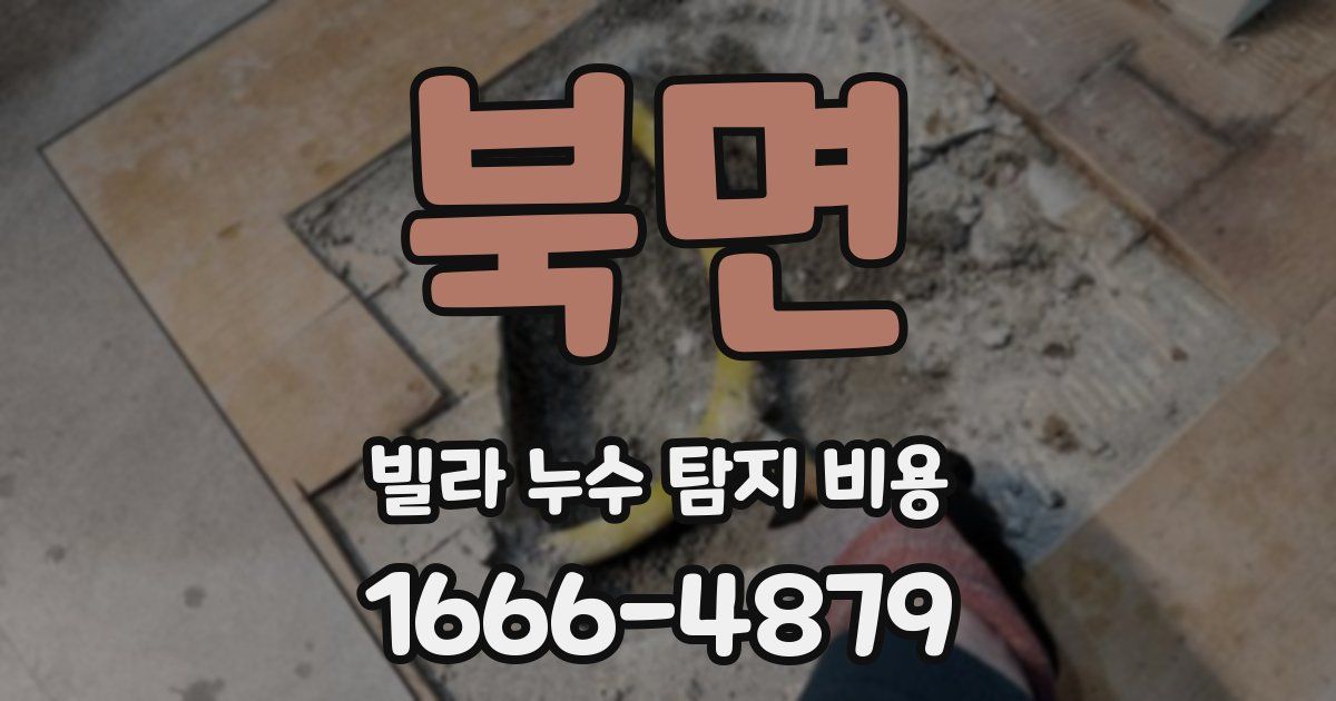 북면 빌라 누수 탐지 비용