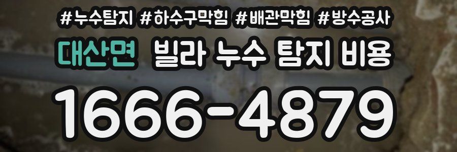 대산면 빌라 누수 탐지 비용
