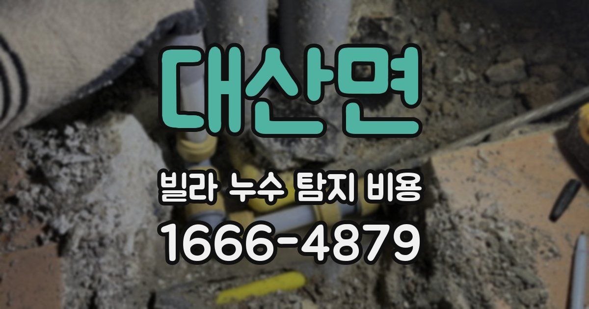 대산면 빌라 누수 탐지 비용