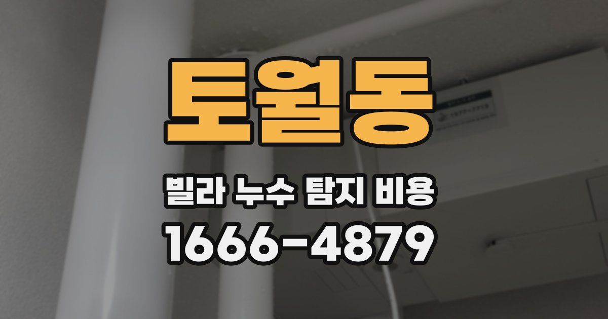토월동 빌라 누수 탐지 비용