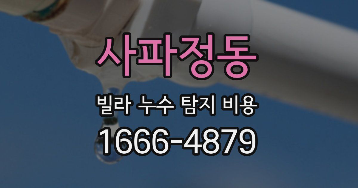 사파정동 빌라 누수 탐지 비용