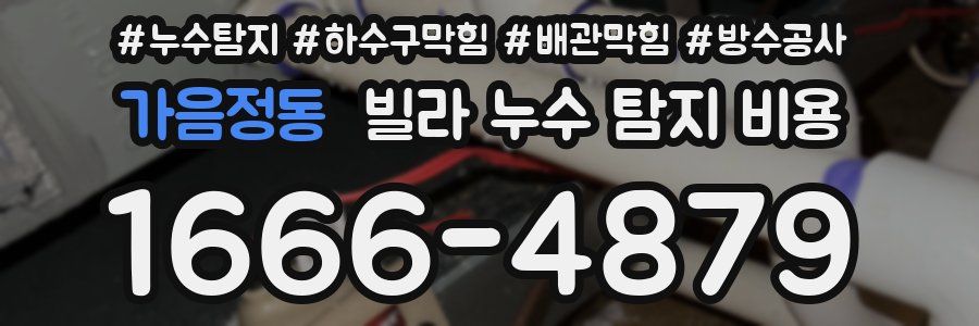 가음정동 빌라 누수 탐지 비용