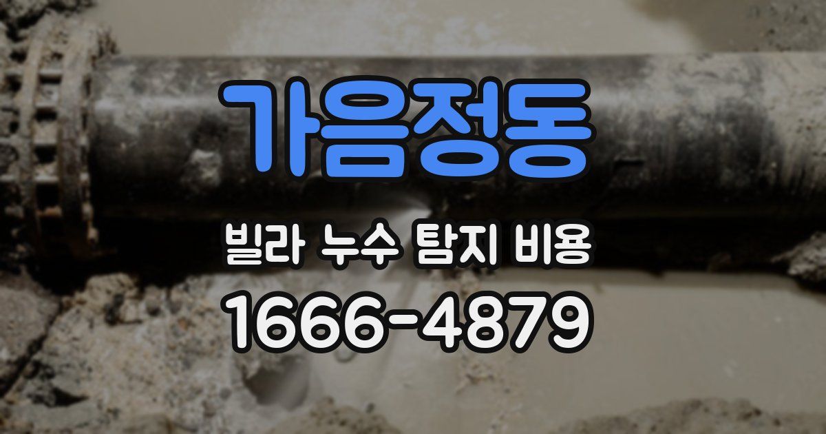 가음정동 빌라 누수 탐지 비용