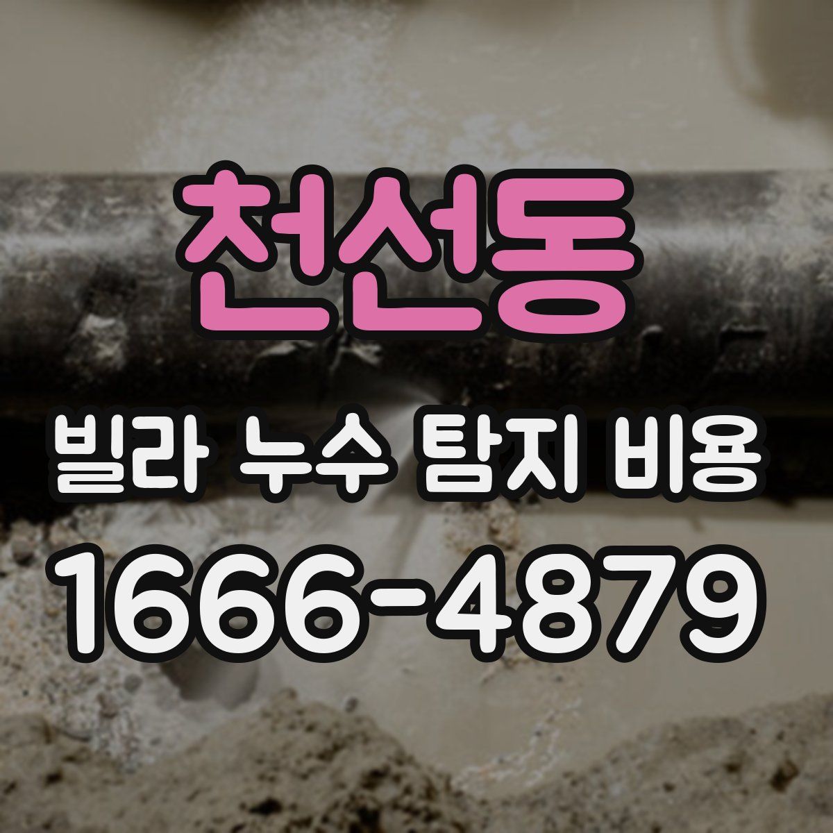 천선동 빌라 누수 탐지 비용