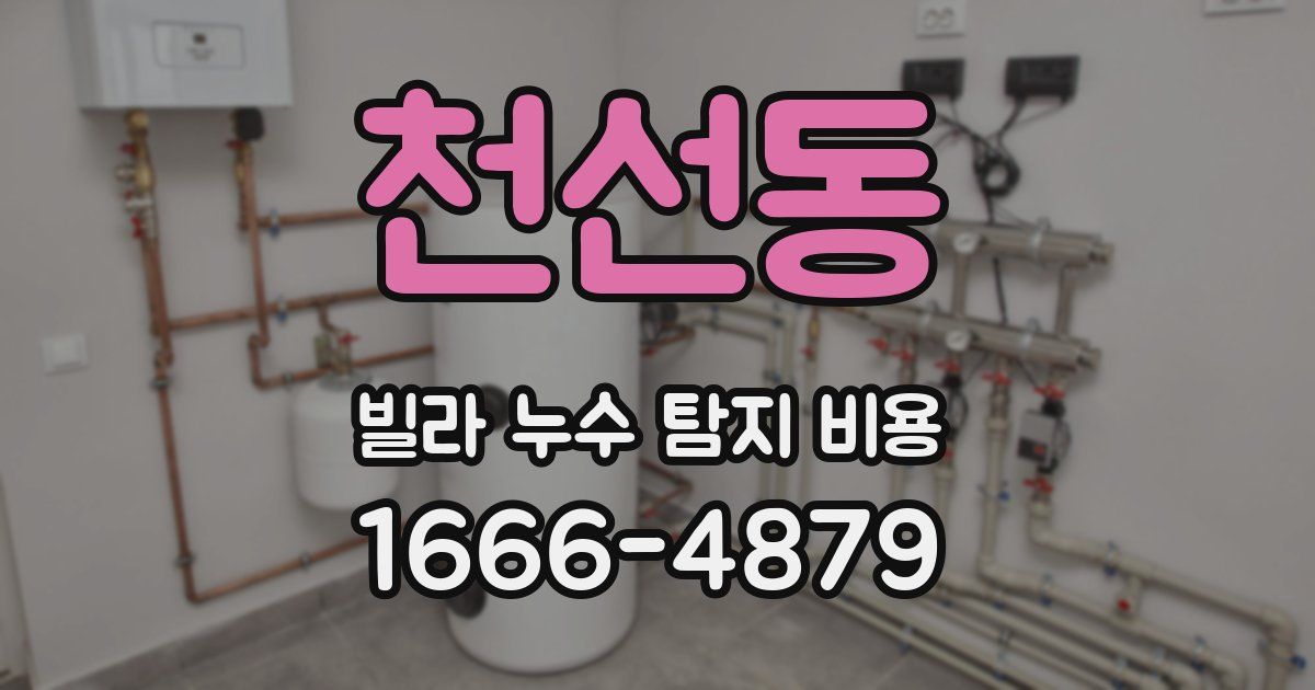 천선동 빌라 누수 탐지 비용