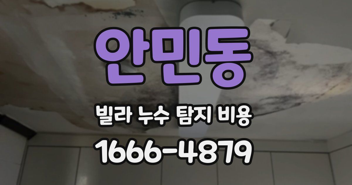 안민동 빌라 누수 탐지 비용