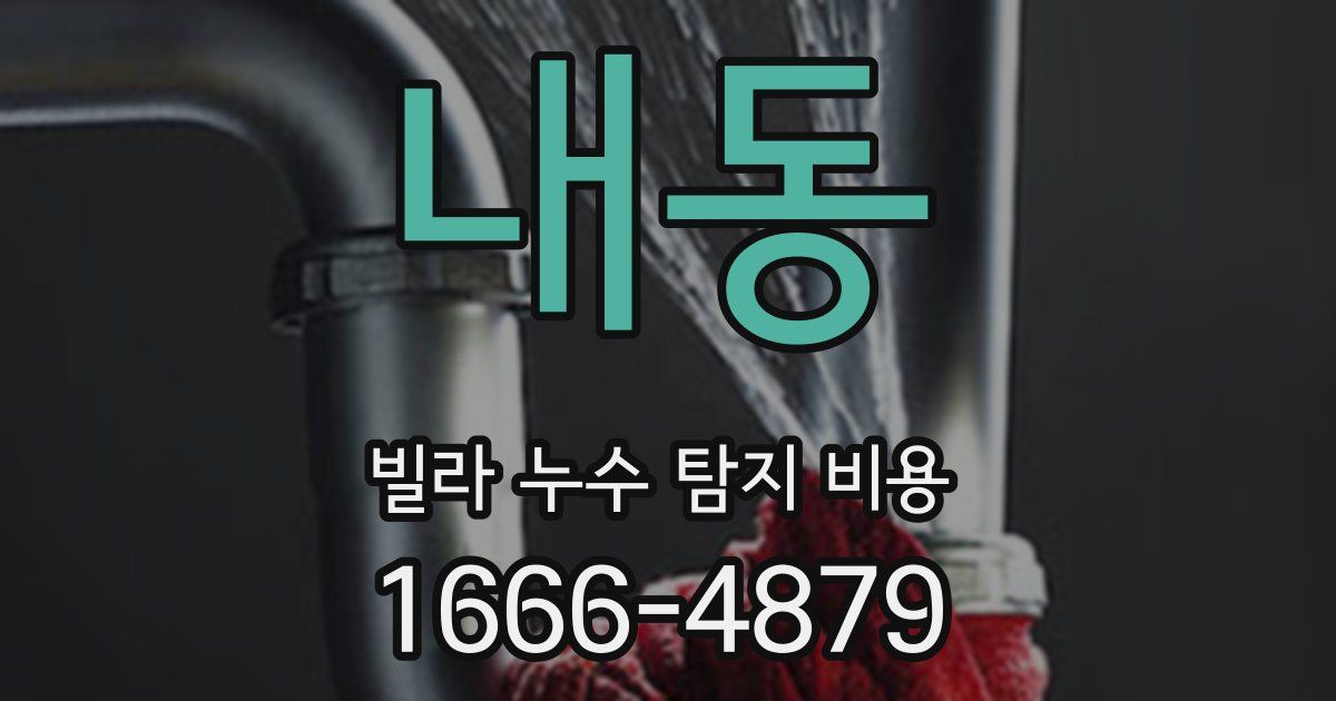 내동 빌라 누수 탐지 비용