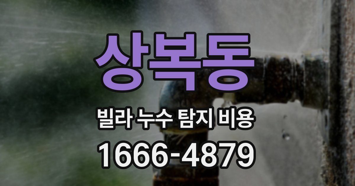 상복동 빌라 누수 탐지 비용