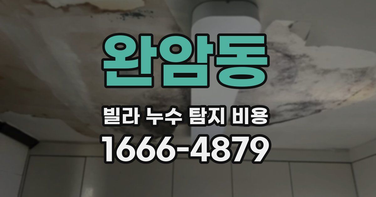 완암동 빌라 누수 탐지 비용