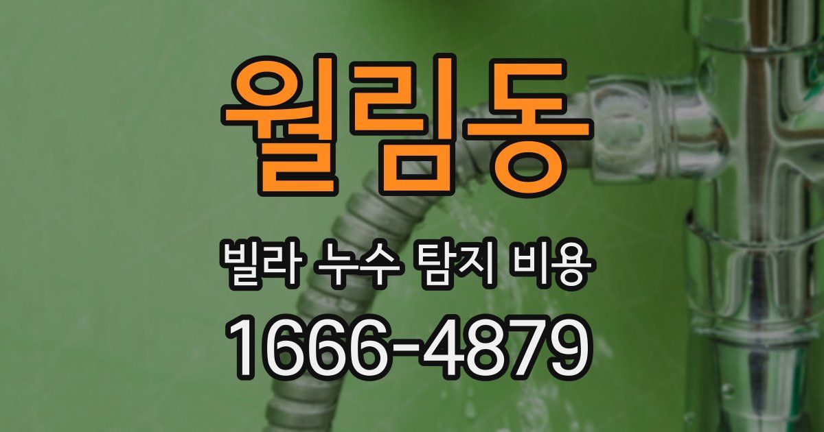 월림동 빌라 누수 탐지 비용