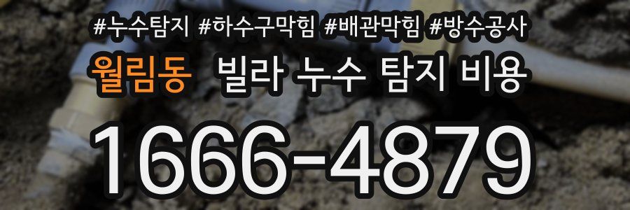 월림동 빌라 누수 탐지 비용