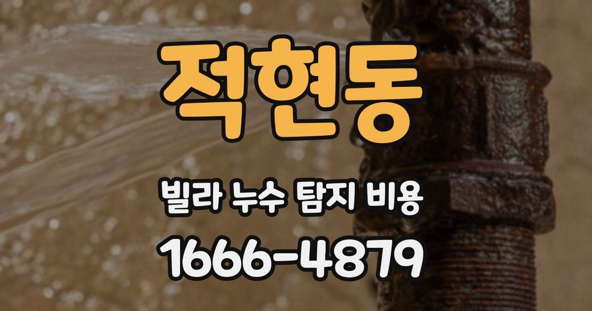 적현동 빌라 누수 탐지 비용