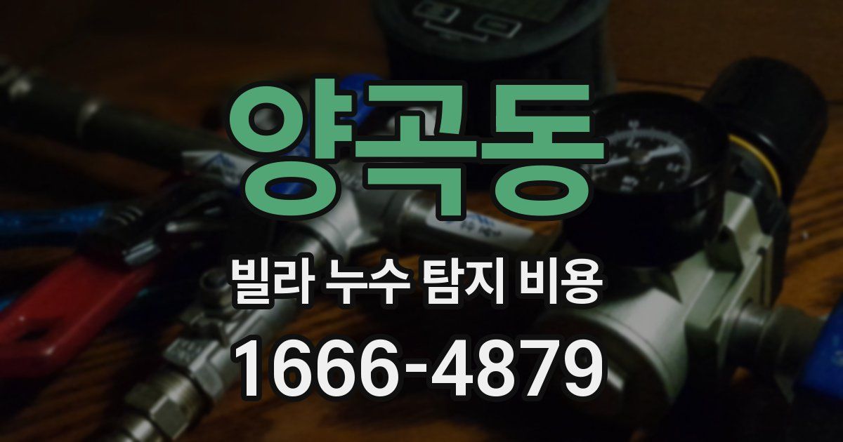 양곡동 빌라 누수 탐지 비용