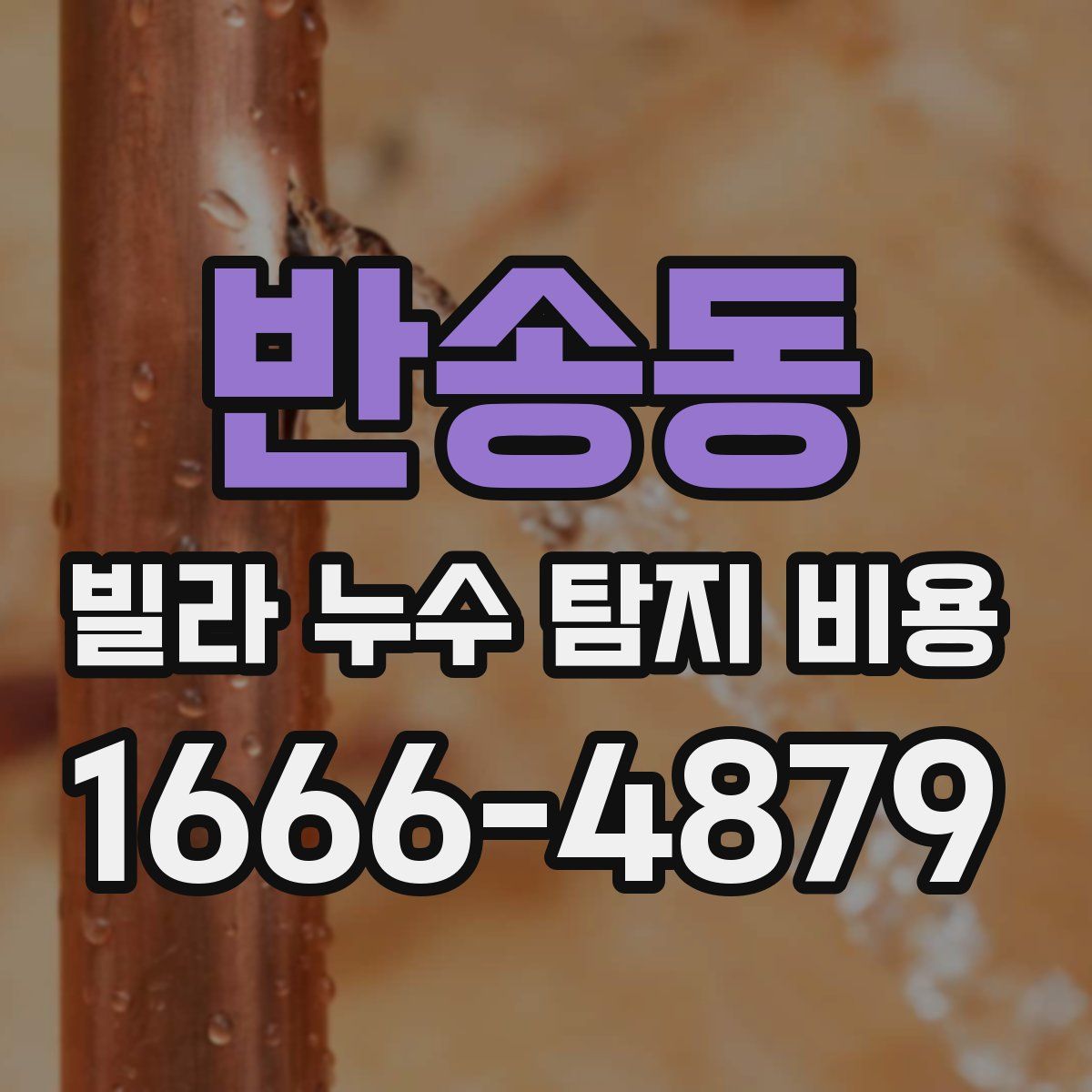반송동 빌라 누수 탐지 비용