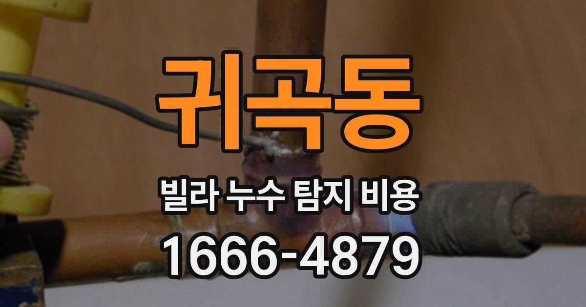 귀곡동 빌라 누수 탐지 비용
