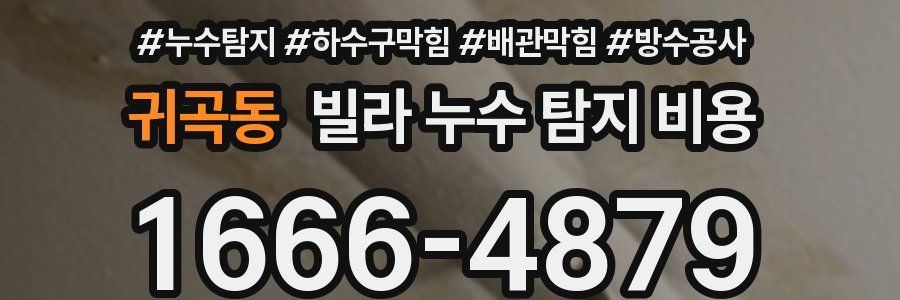 귀곡동 빌라 누수 탐지 비용