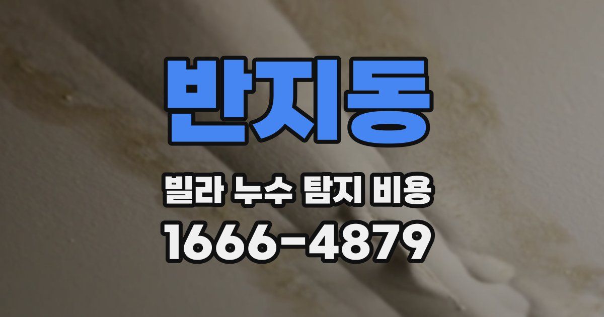 반지동 빌라 누수 탐지 비용