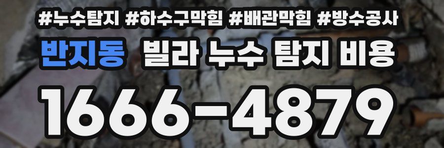 반지동 빌라 누수 탐지 비용