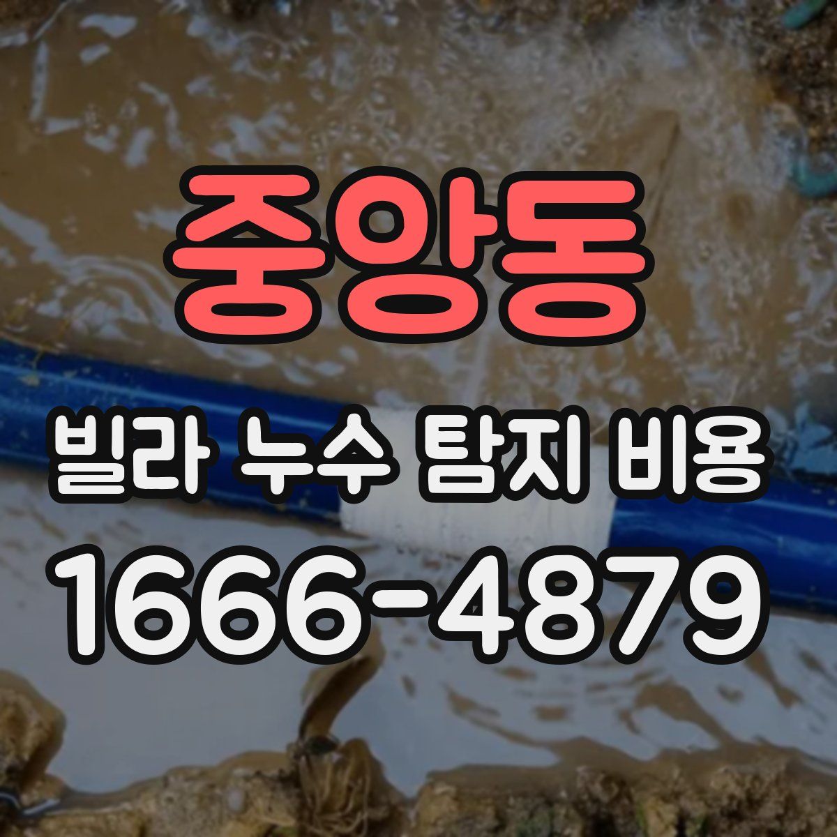 중앙동 빌라 누수 탐지 비용