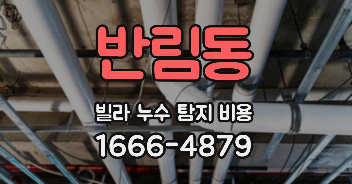 반림동 빌라 누수 탐지 비용