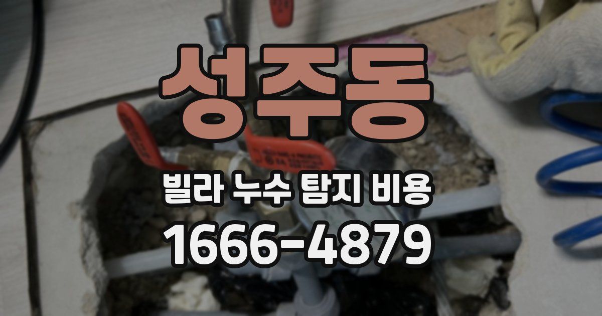 성주동 빌라 누수 탐지 비용