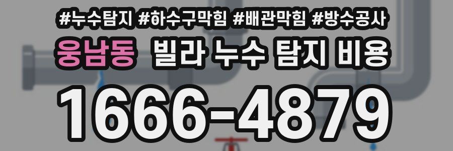 웅남동 빌라 누수 탐지 비용