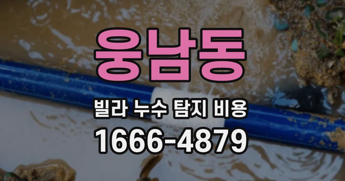 웅남동 빌라 누수 탐지 비용