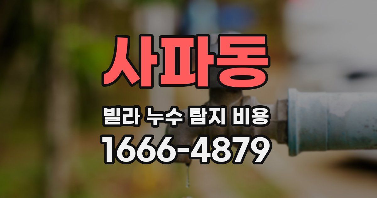 사파동 빌라 누수 탐지 비용