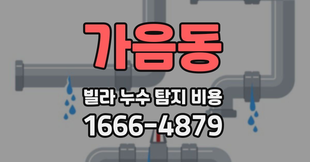 가음동 빌라 누수 탐지 비용