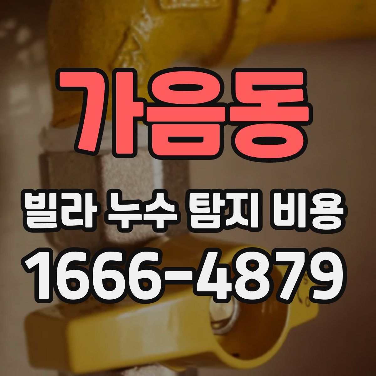가음동 빌라 누수 탐지 비용