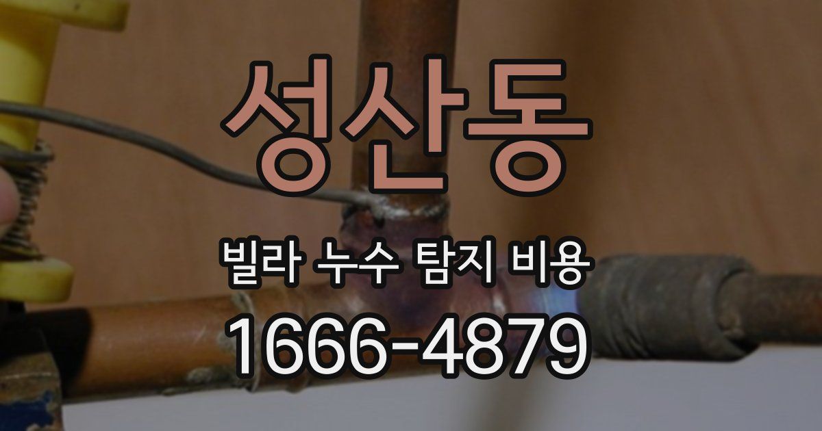 성산동 빌라 누수 탐지 비용