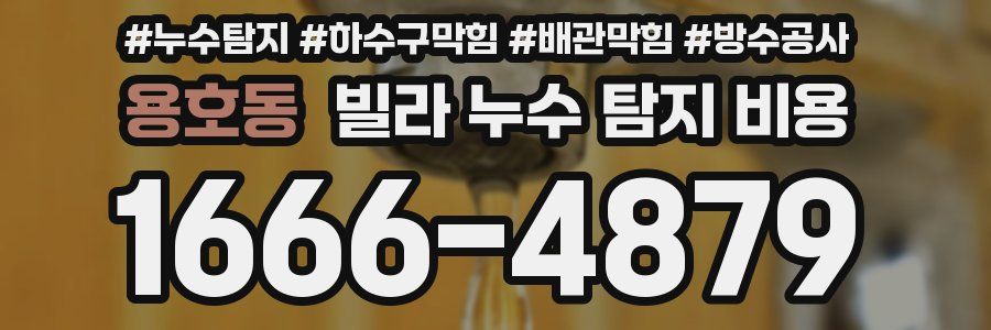 용호동 빌라 누수 탐지 비용