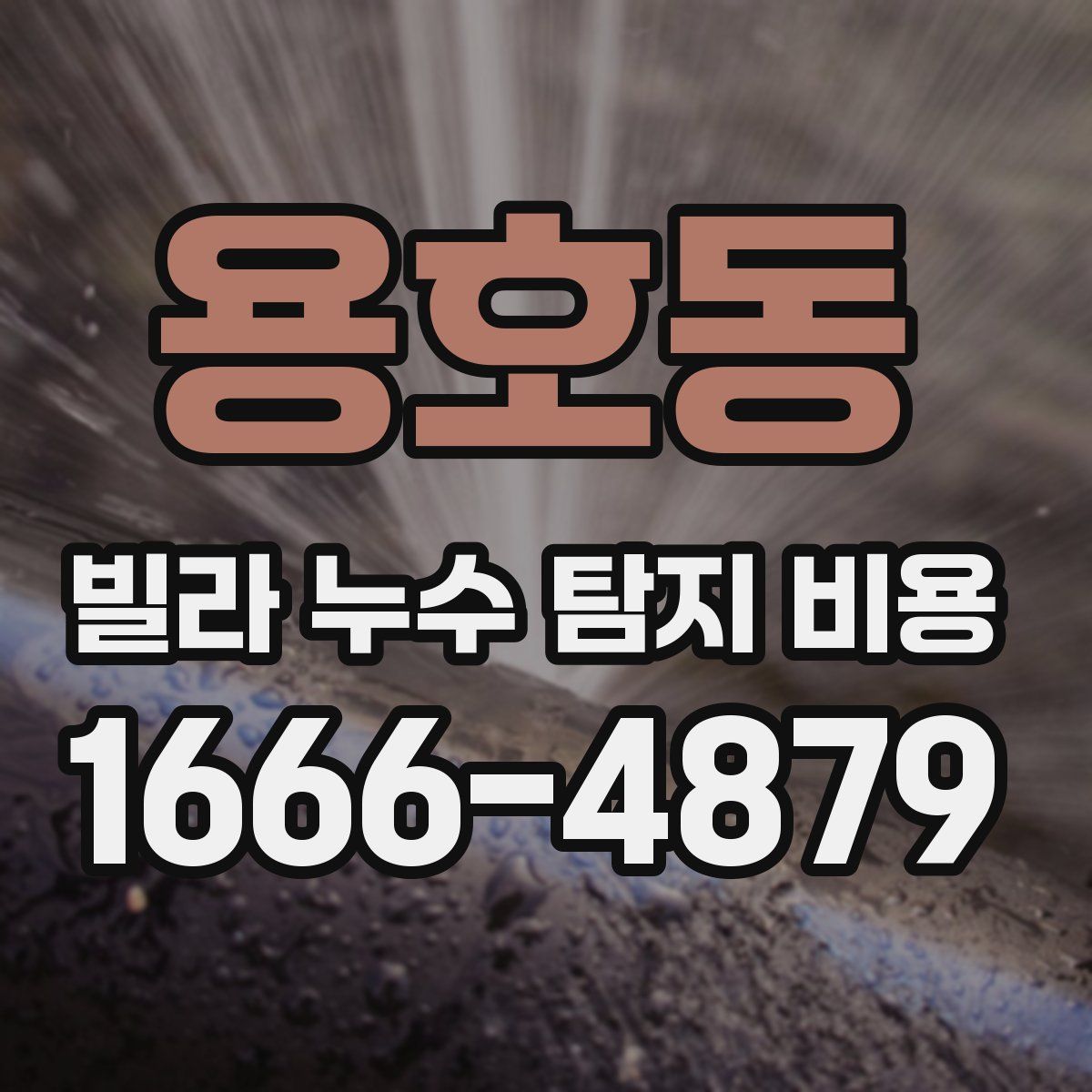 용호동 빌라 누수 탐지 비용