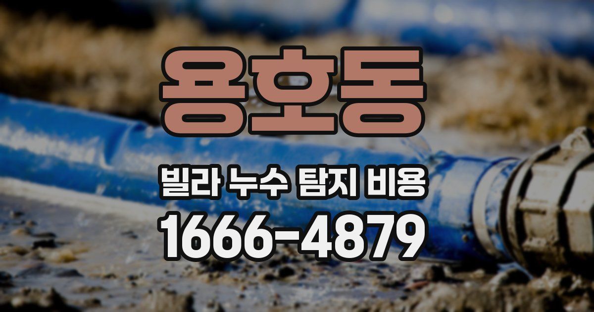 용호동 빌라 누수 탐지 비용