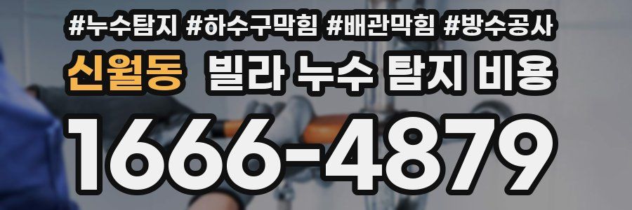 신월동 빌라 누수 탐지 비용