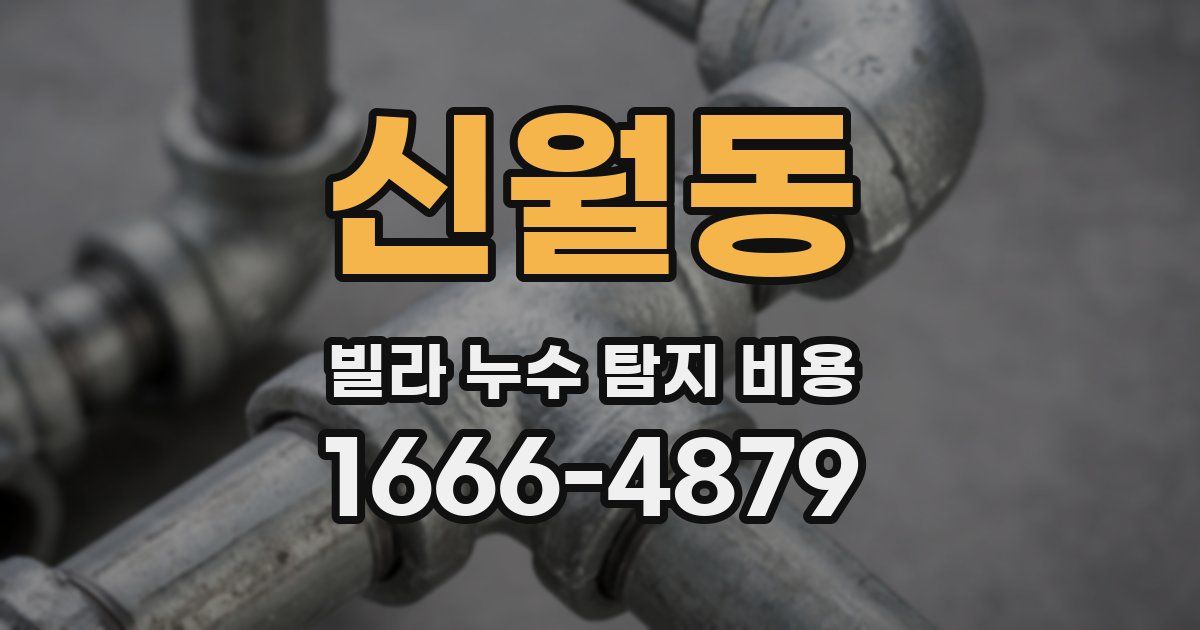 신월동 빌라 누수 탐지 비용